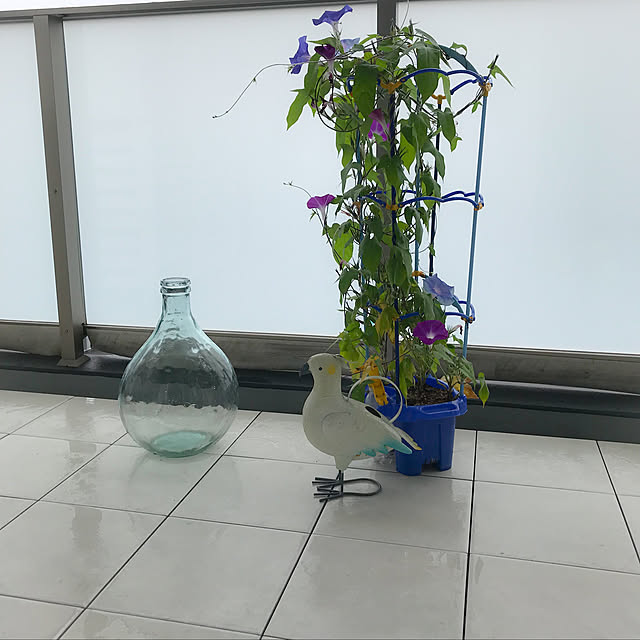 cantikさんの実例写真