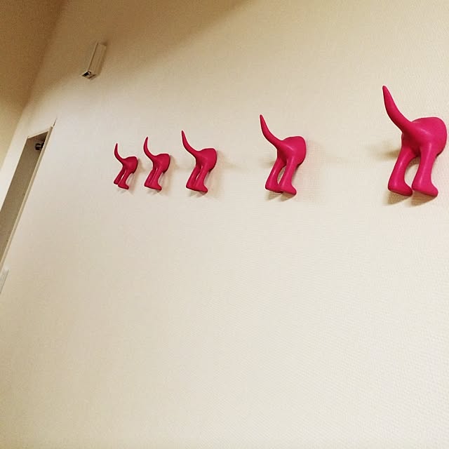25abucoさんの実例写真