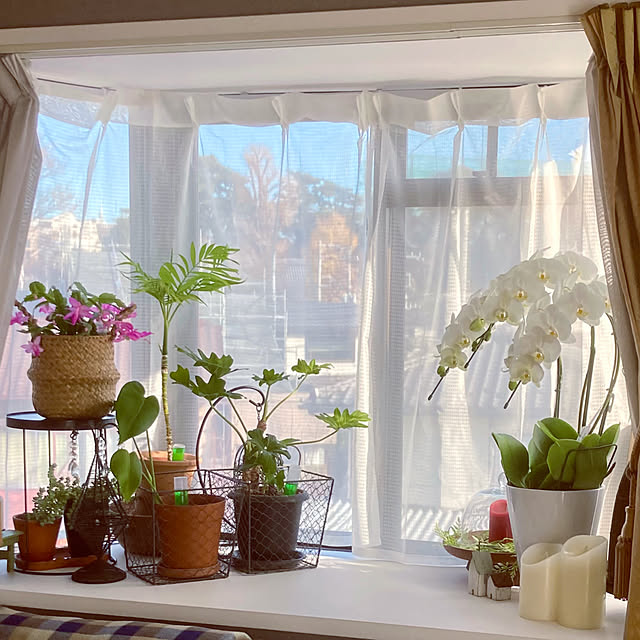 madamkaoriさんの部屋
