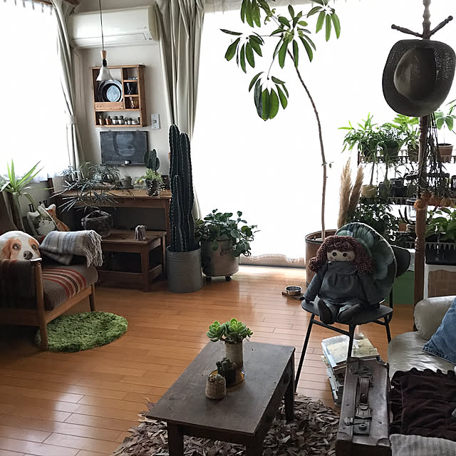 kazuuko0918さんの実例写真