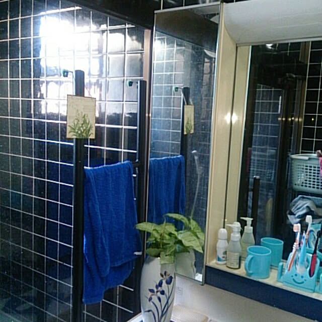 mitz_ann16さんの実例写真
