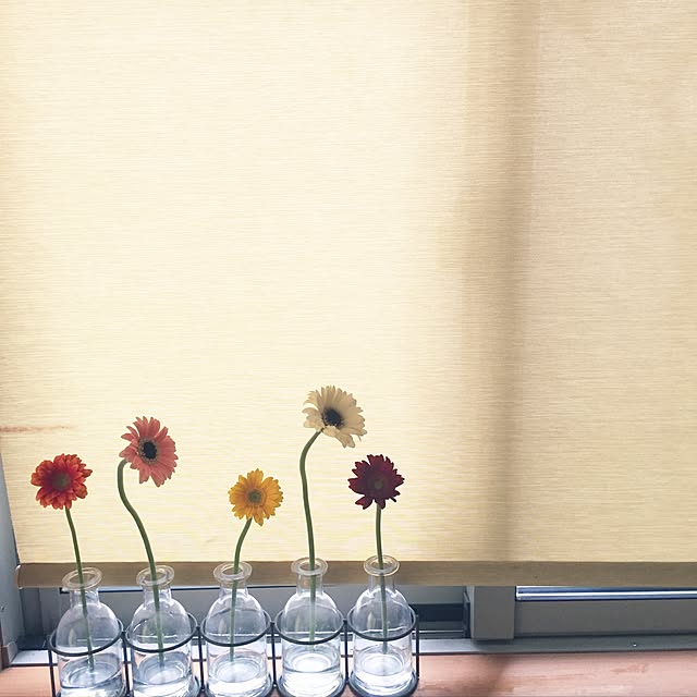 chie.n_n.さんの実例写真