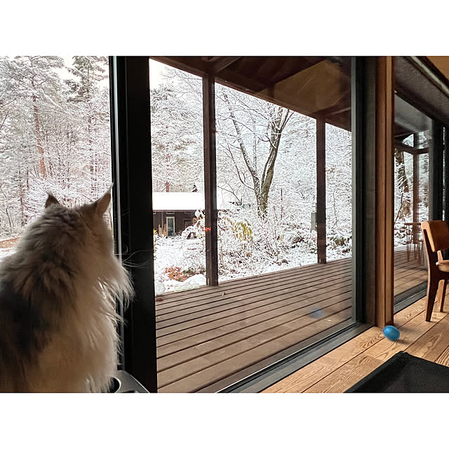 Kikko.さんの実例写真