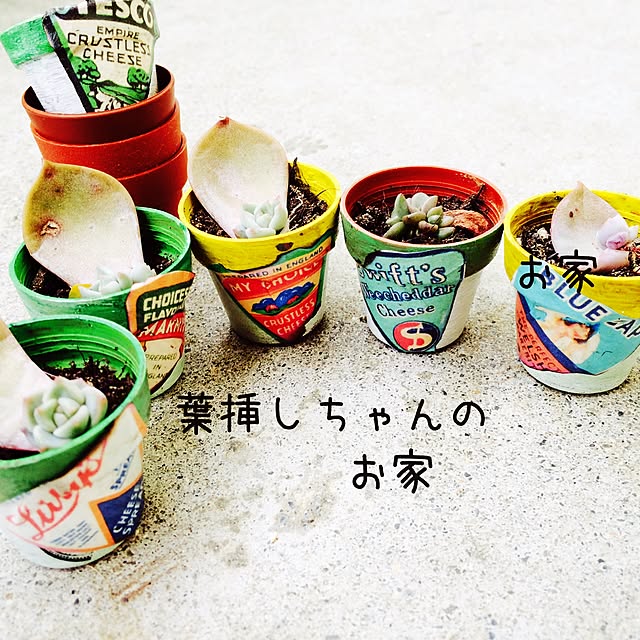 zu_kkyyさんの実例写真