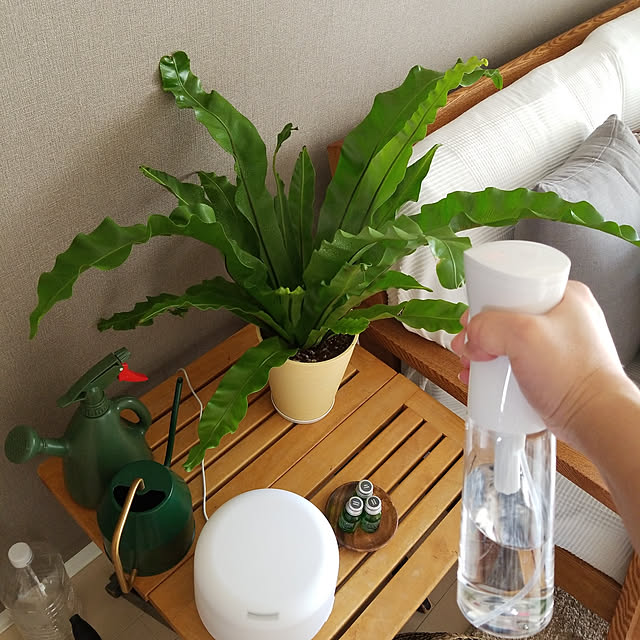 kikiさんの実例写真