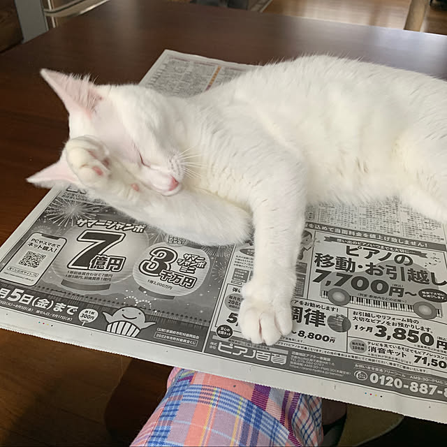 keiさんの実例写真