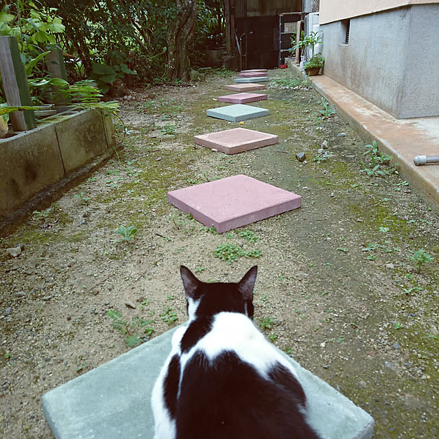 uchizukonyanさんの実例写真