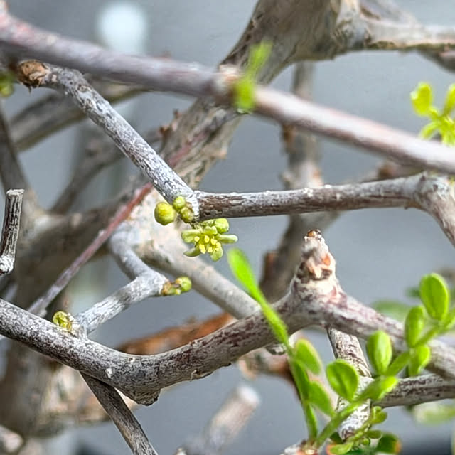 nuruiさんの部屋