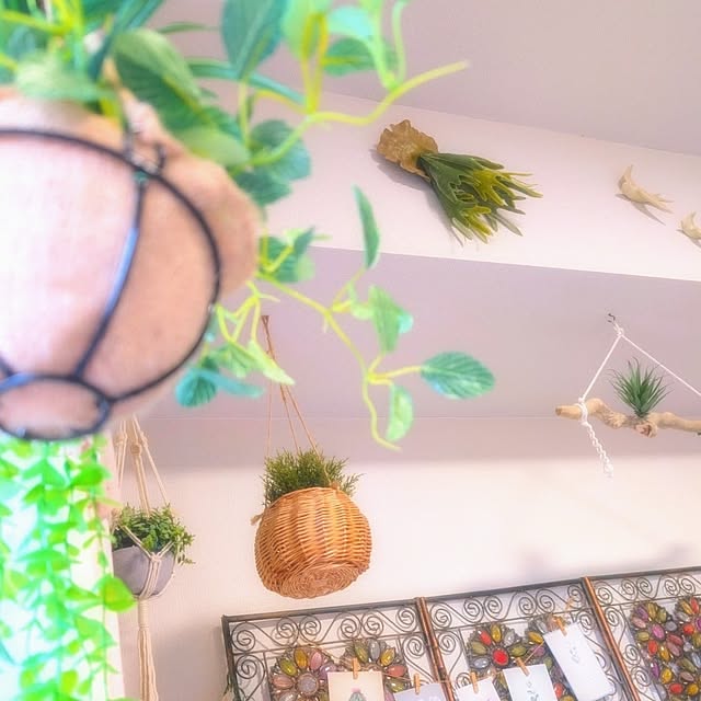 harumoeさんの実例写真