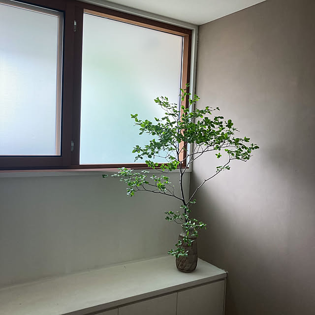 ベッド周り/古道具/漆喰壁/造作棚/枝物...などのインテリア実例 - 2023-09-07 13:50:30