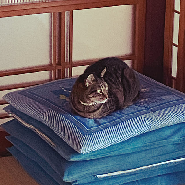 maruさんの実例写真