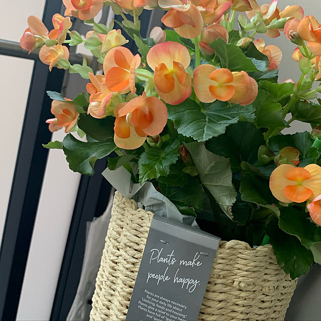 flowerさんの実例写真