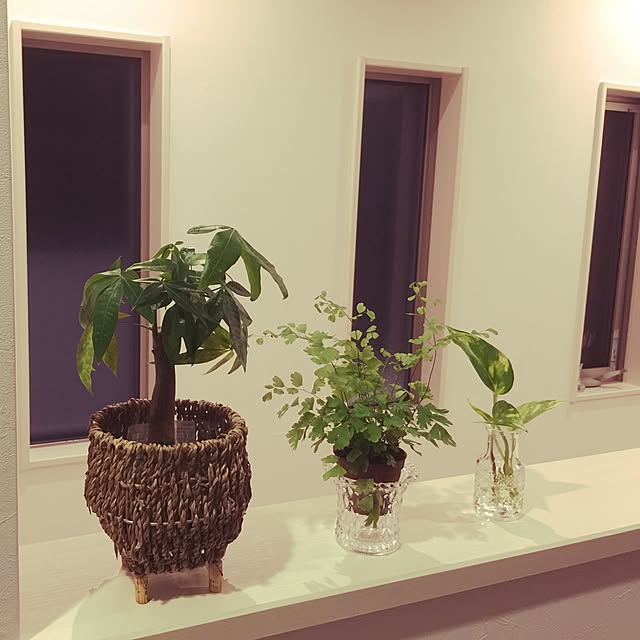 neuruさんの実例写真
