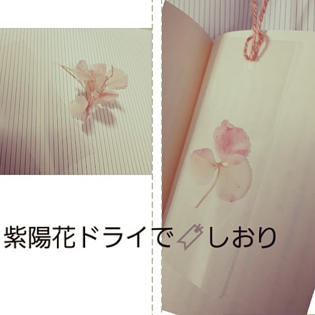 ANTENNAさんの実例写真