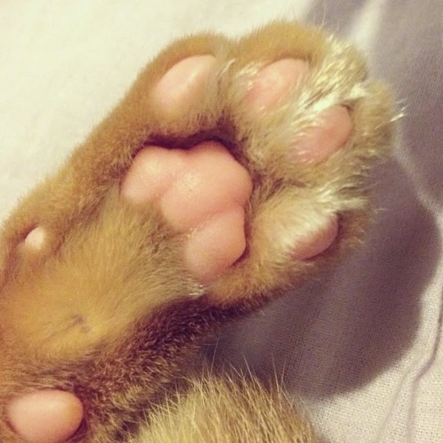 n-sanさんの実例写真