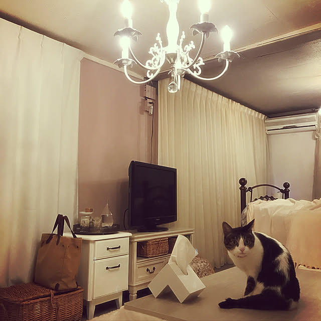 Shihoさんの実例写真