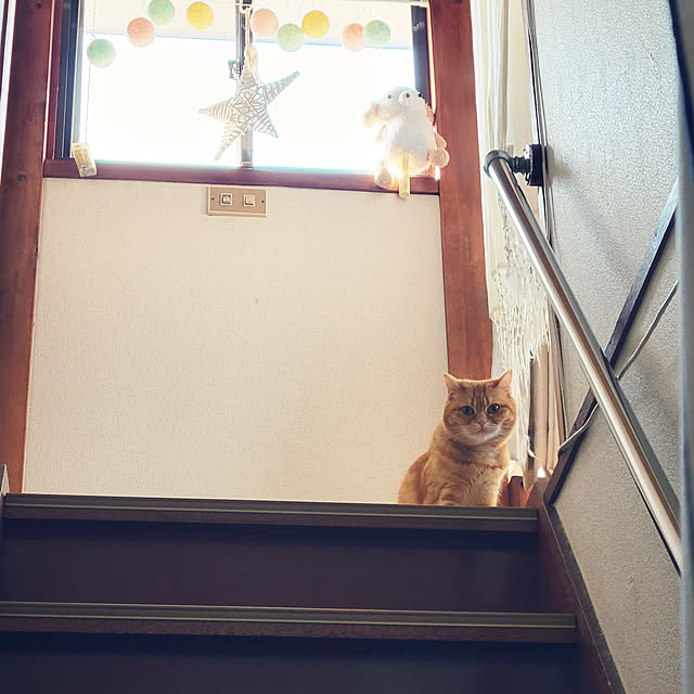 fruityanさんの実例写真