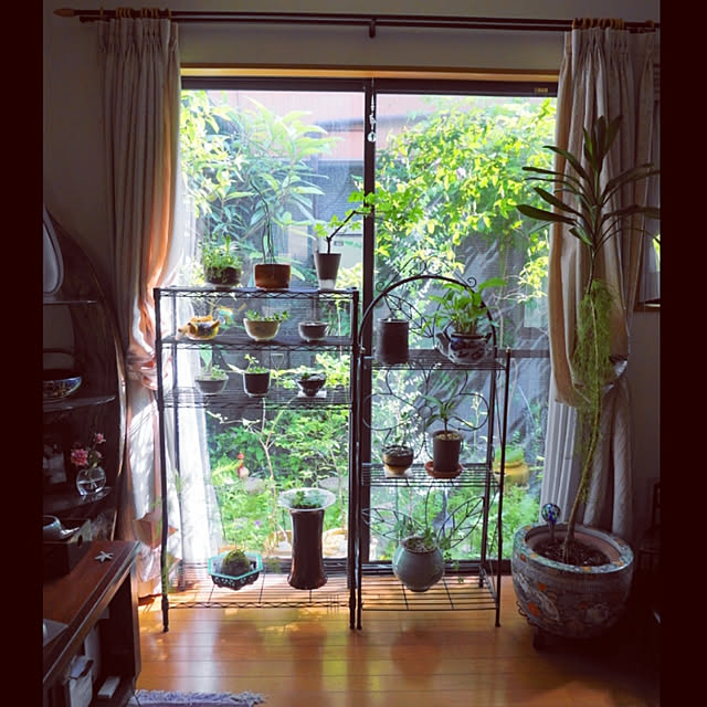 aromameさんの実例写真