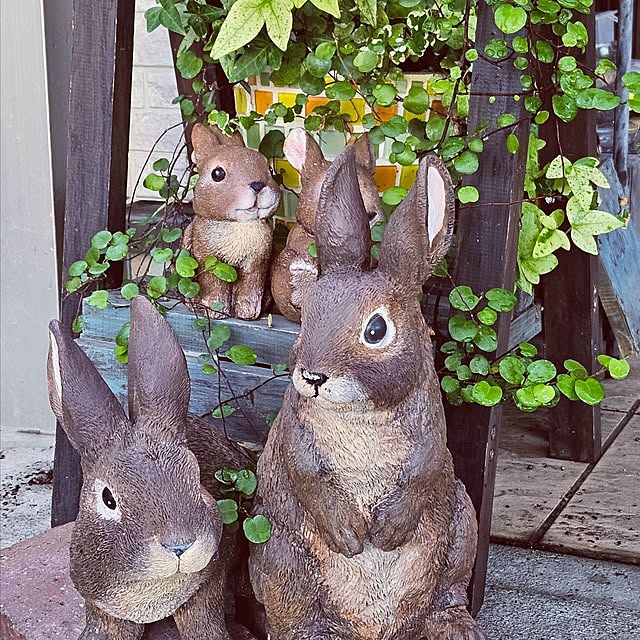 mocomocoさんの部屋