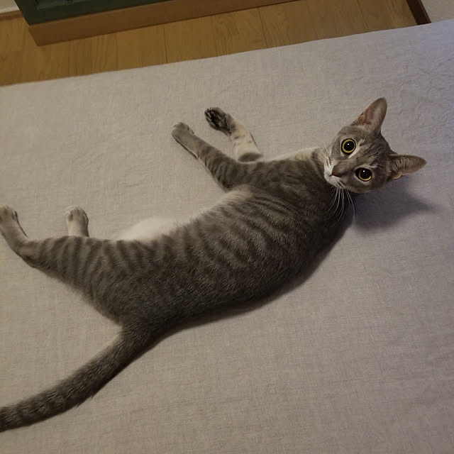 yukiさんの実例写真