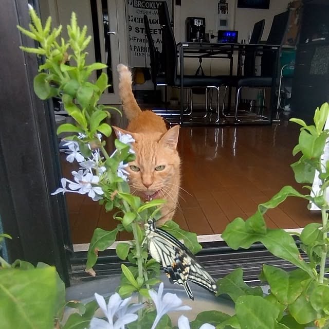 NOAHさんの部屋