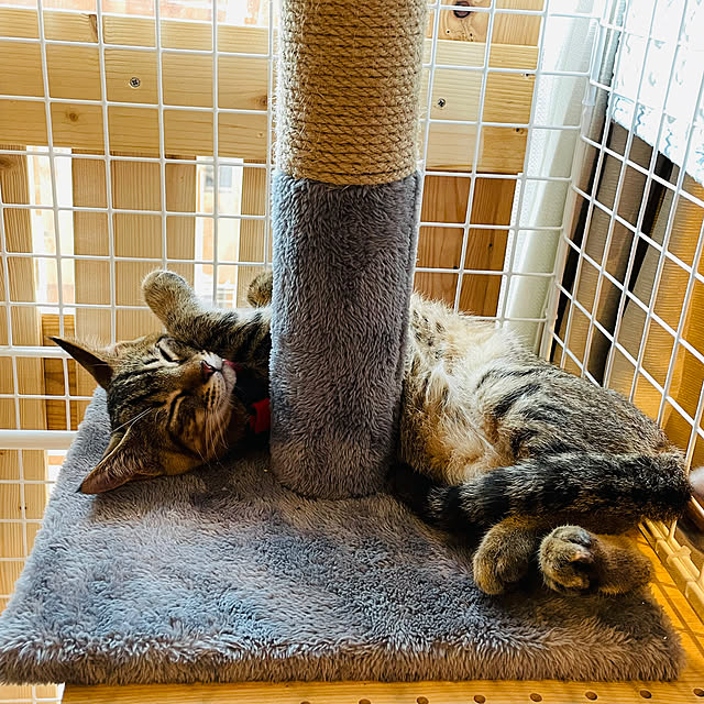 niko.mamさんの部屋