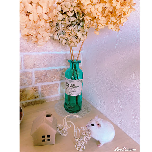 arinkoさんの実例写真