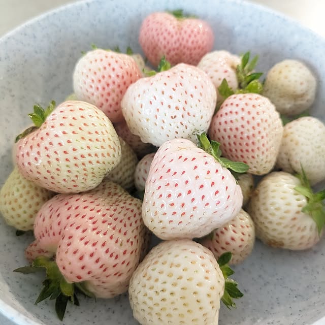 fumitanさんの部屋