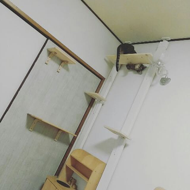 shion825さんの実例写真