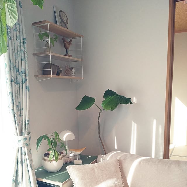 tan5さんの実例写真