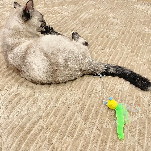 yu-iさんの部屋