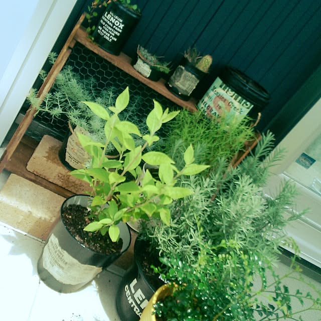 michiruさんの実例写真
