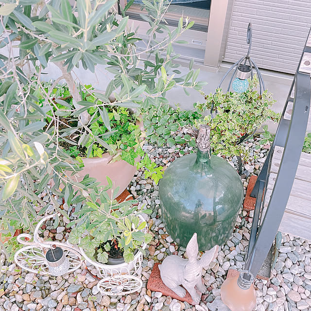akiko-ovさんの部屋
