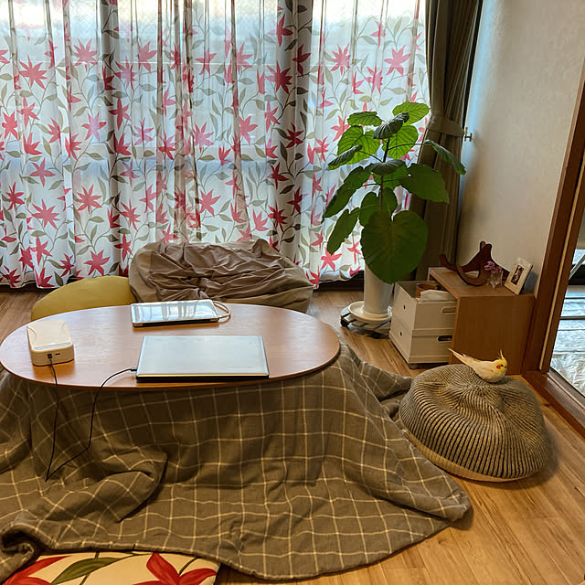 シビラ カーテンのおすすめ商品とおしゃれな実例 | RoomClip シビラ カーテンのおすすめ商品とおしゃれな実例 | RoomClip