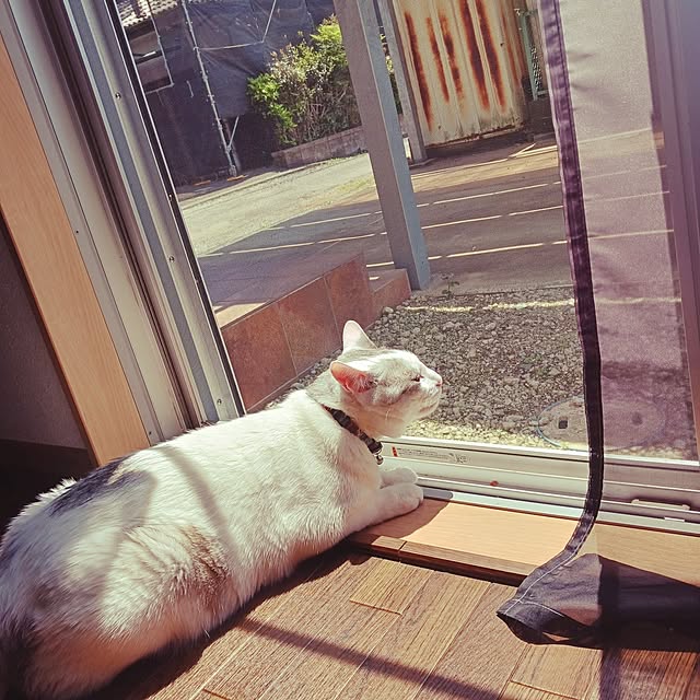 sou_88さんの実例写真
