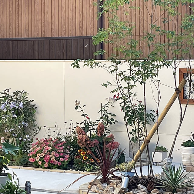 ayakaさんの実例写真