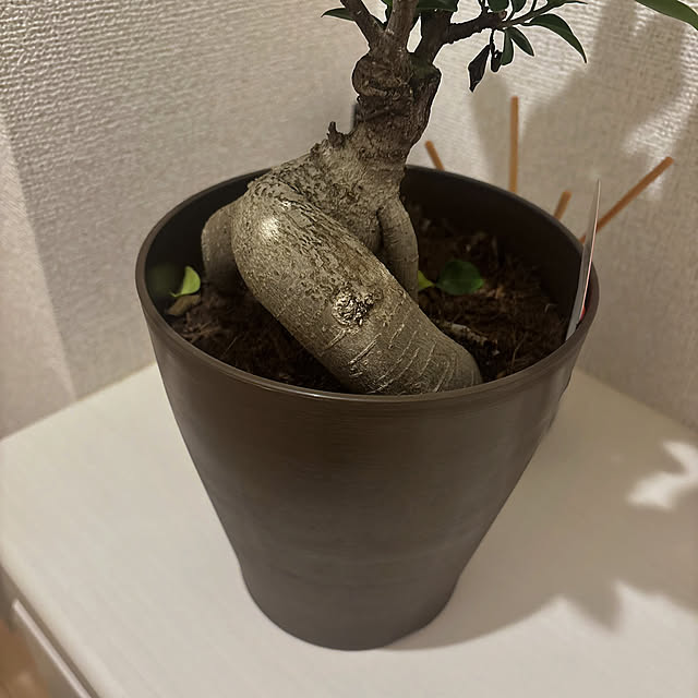 or.otkr.0408さんの実例写真