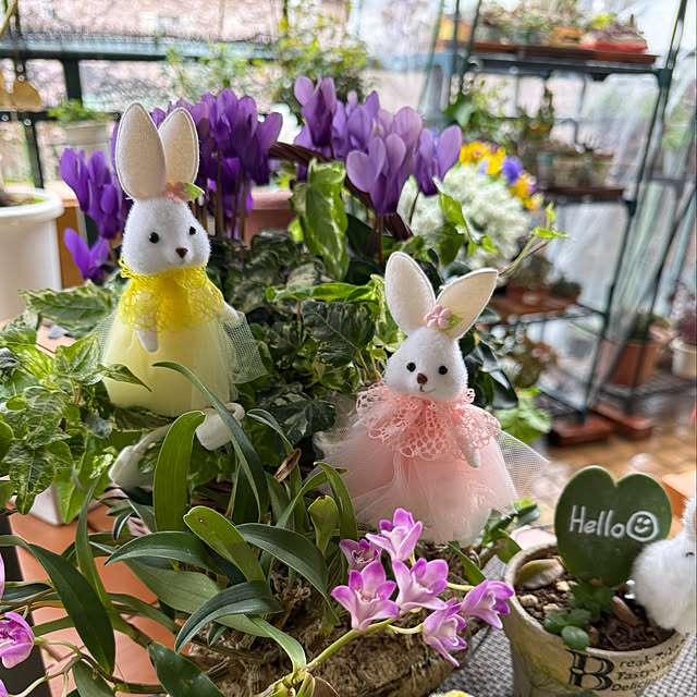 Aqettyさんの部屋