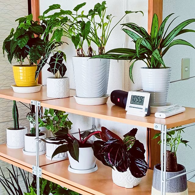 hanachanさんの部屋