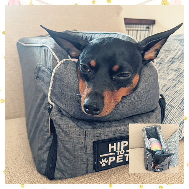 shizuponさんの実例写真