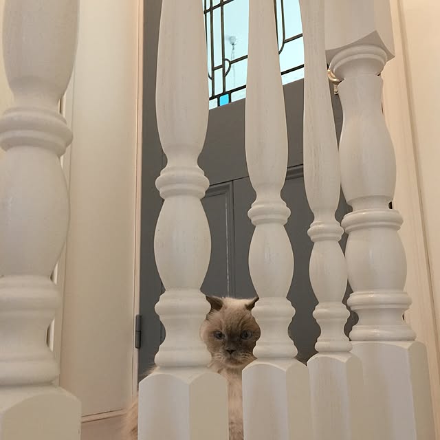 yuchiさんの実例写真