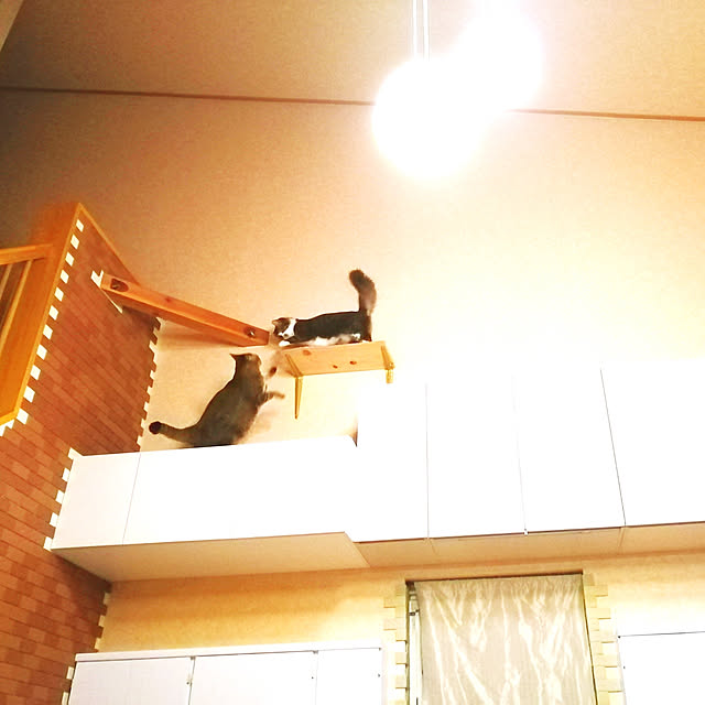 kikufujiさんの実例写真
