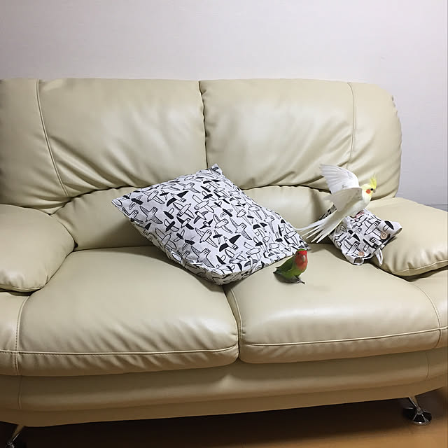 toratanさんの実例写真