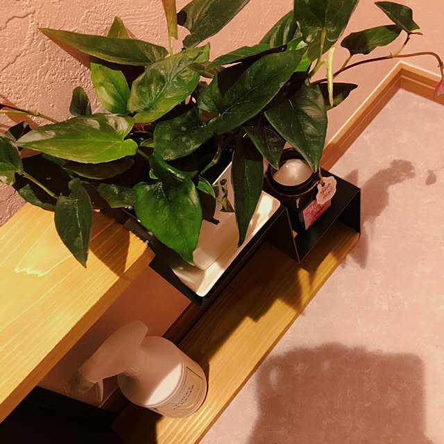 emmyさんの実例写真