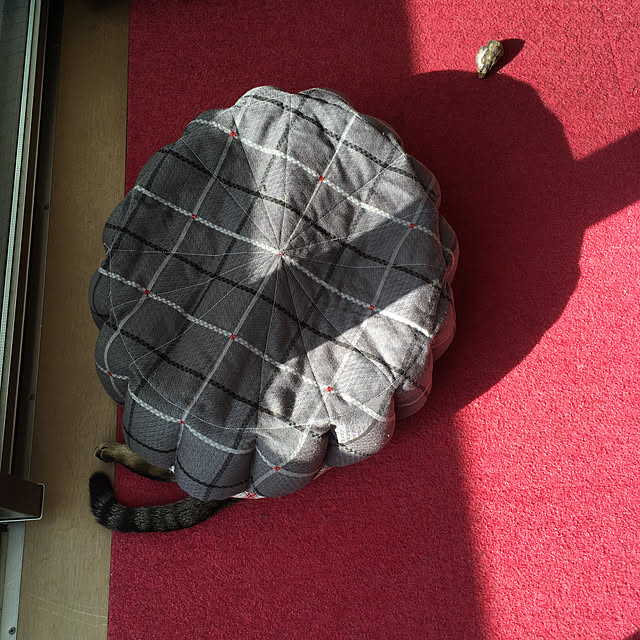 mikomaruさんの実例写真