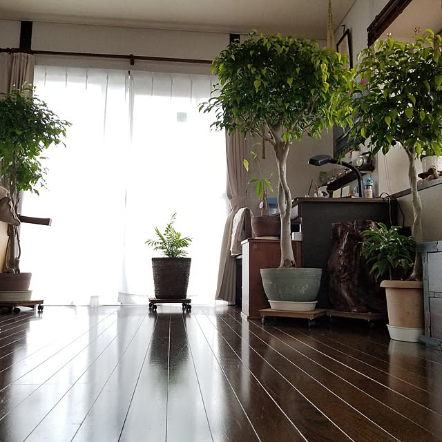 midoriさんの実例写真