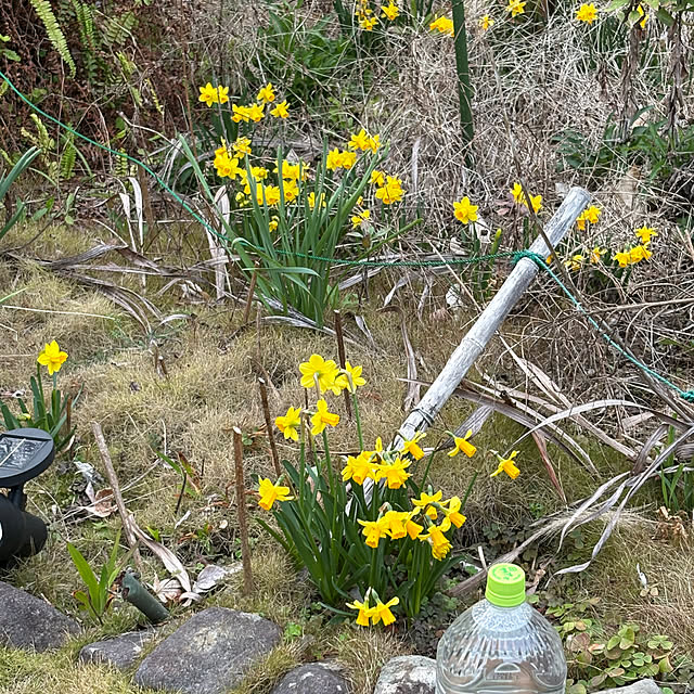 nannoさんの部屋