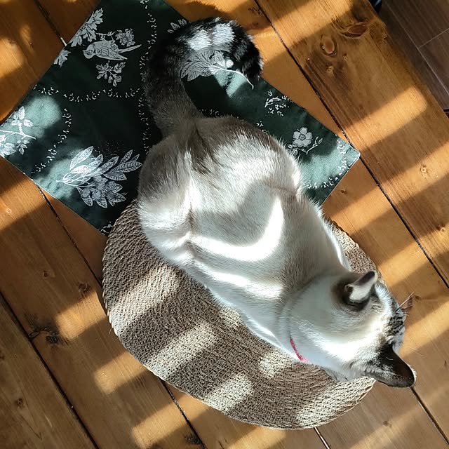 Atelier_tamakiさんの実例写真
