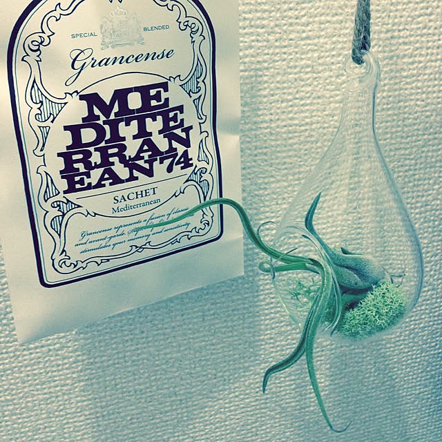 copainさんの実例写真