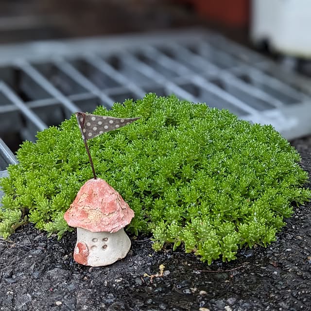 junさんの実例写真